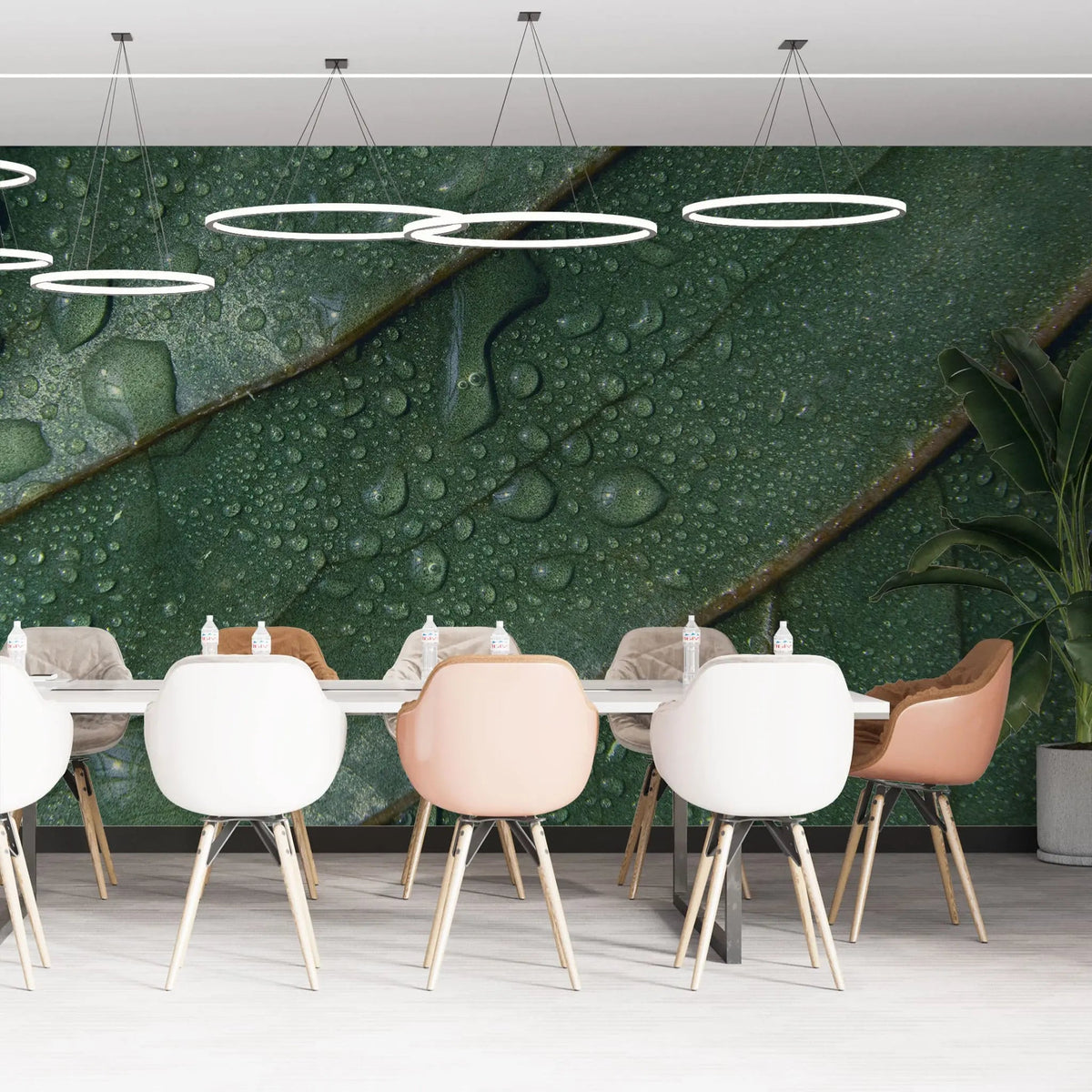 Tapet personalizat leaf cu picaturi de apa pe frunze verzi in detaliu water droplets