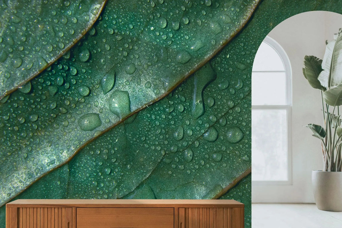 Tapet personalizat leaf cu picaturi de apa pe frunze verzi in detaliu water droplets