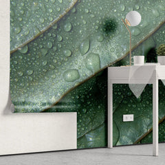 Tapet personalizat leaf cu picaturi de apa pe frunze verzi in detaliu water droplets