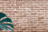 Tapet personalizat leaf cu frunze de monstera pe perete de caramida rosie tropical bricks