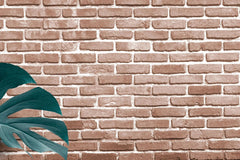 Tapet personalizat leaf cu frunze de monstera pe perete de caramida rosie tropical bricks