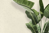 Tapet personalizat leaf cu frunze de bananier in stil digital artwork pe fundal granulat bej painted banana leaves