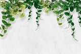 Tapet personalizat leaf cu frunze de iedera salbatica pe un perete alb texturat devil's ivy