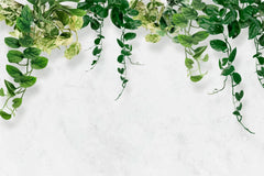 Tapet personalizat leaf cu frunze de iedera salbatica pe un perete alb texturat devil's ivy