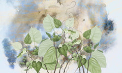 Tapet personalizat leaf cu frunze de philondendron rugosum in stil watercolor watercolor rugosum