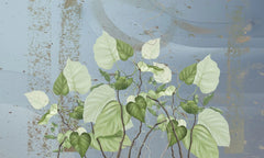 Tapet personalizat leaf cu frunze de philondendron rugosum pe fundal albastru blue wild philodendron