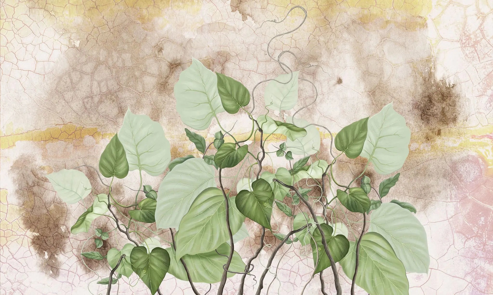 Tapet personalizat leaf cu frunze de philondendron rugosum pe fundal vintage vintage rugosum