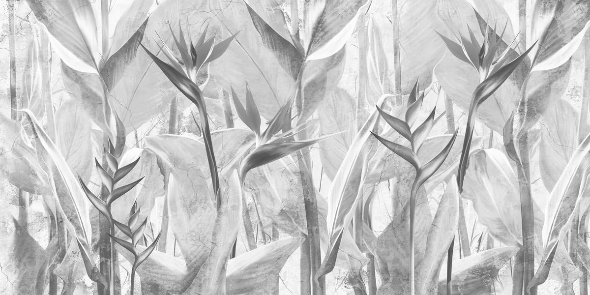 Tapet personalizat leaf cu planta paradisului in nuante de gri grey bird's paradise