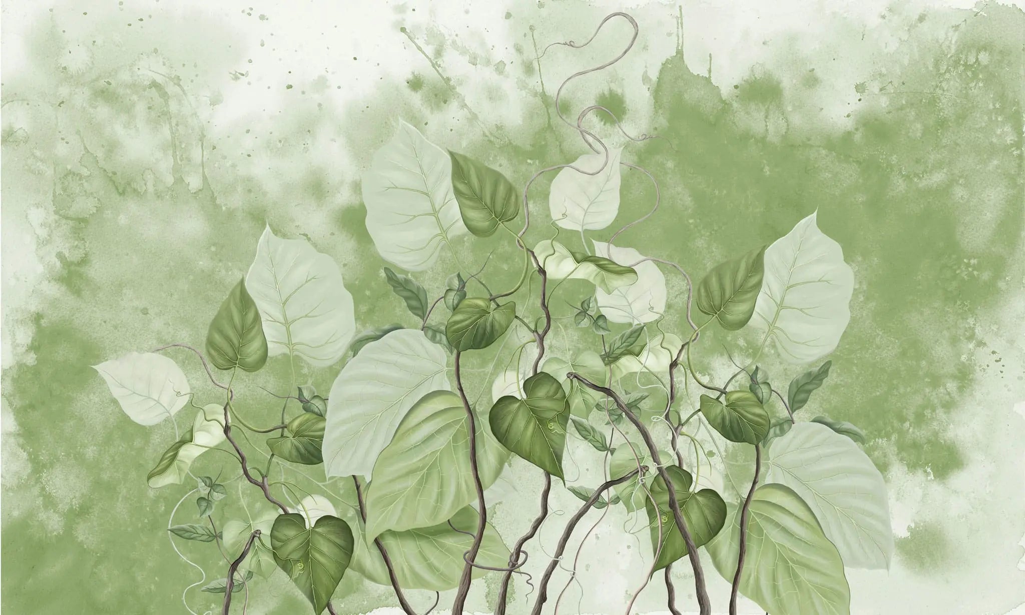 Tapet personalizat leaf cu frunze de philondendron rugosum pe fundal verde in stil watercolor green philodendron rugosum