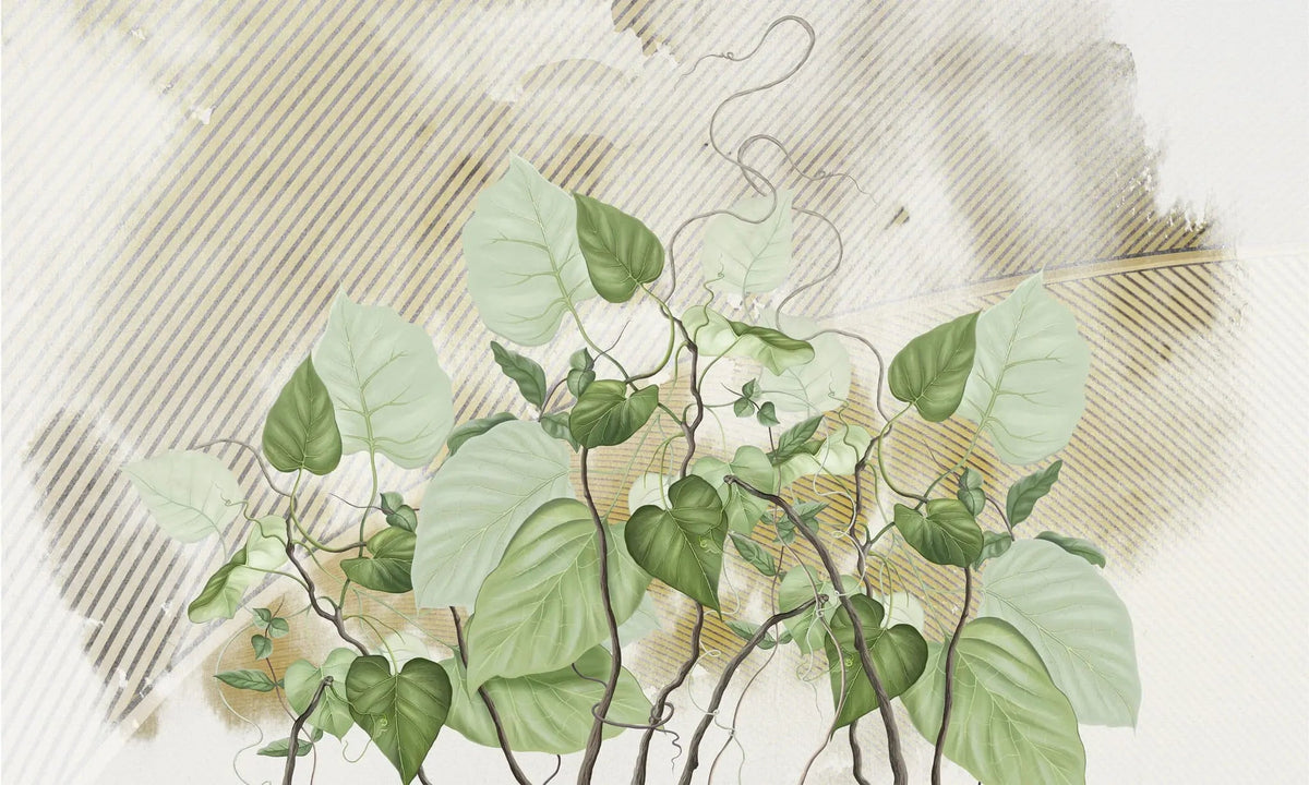 Tapet personalizat leaf cu frunze de philondendron rugosum pe fundal texturat in dungi textured rugosum
