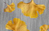 Tapet personalizat leaf cu frunze galbene de ginkgo biloba pe un fundal gri texturat fall ginkgo leaf
