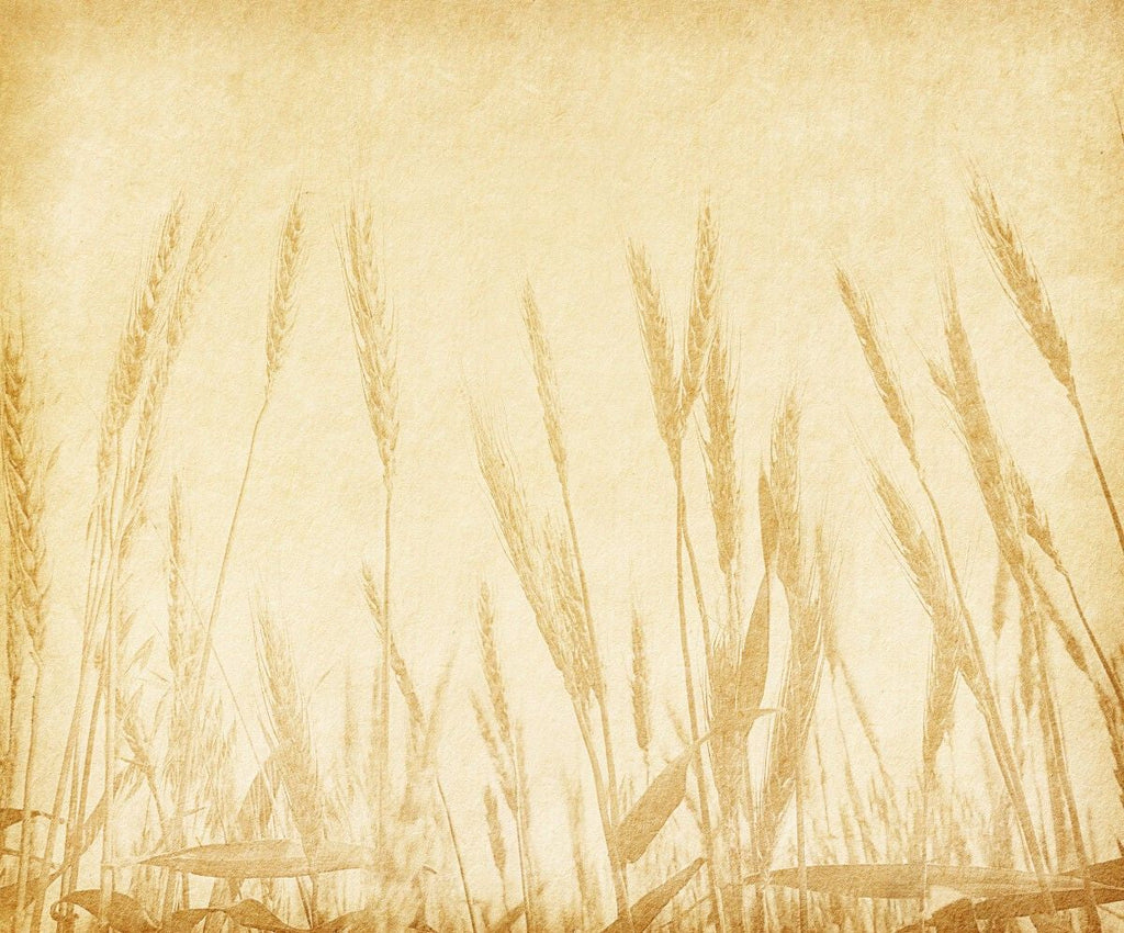 Tapet personalizat leaf cu frunze inspirat din campurile de grau cu spice aurii pe un fundal bej creand o atmosfera rustica si calda wheat