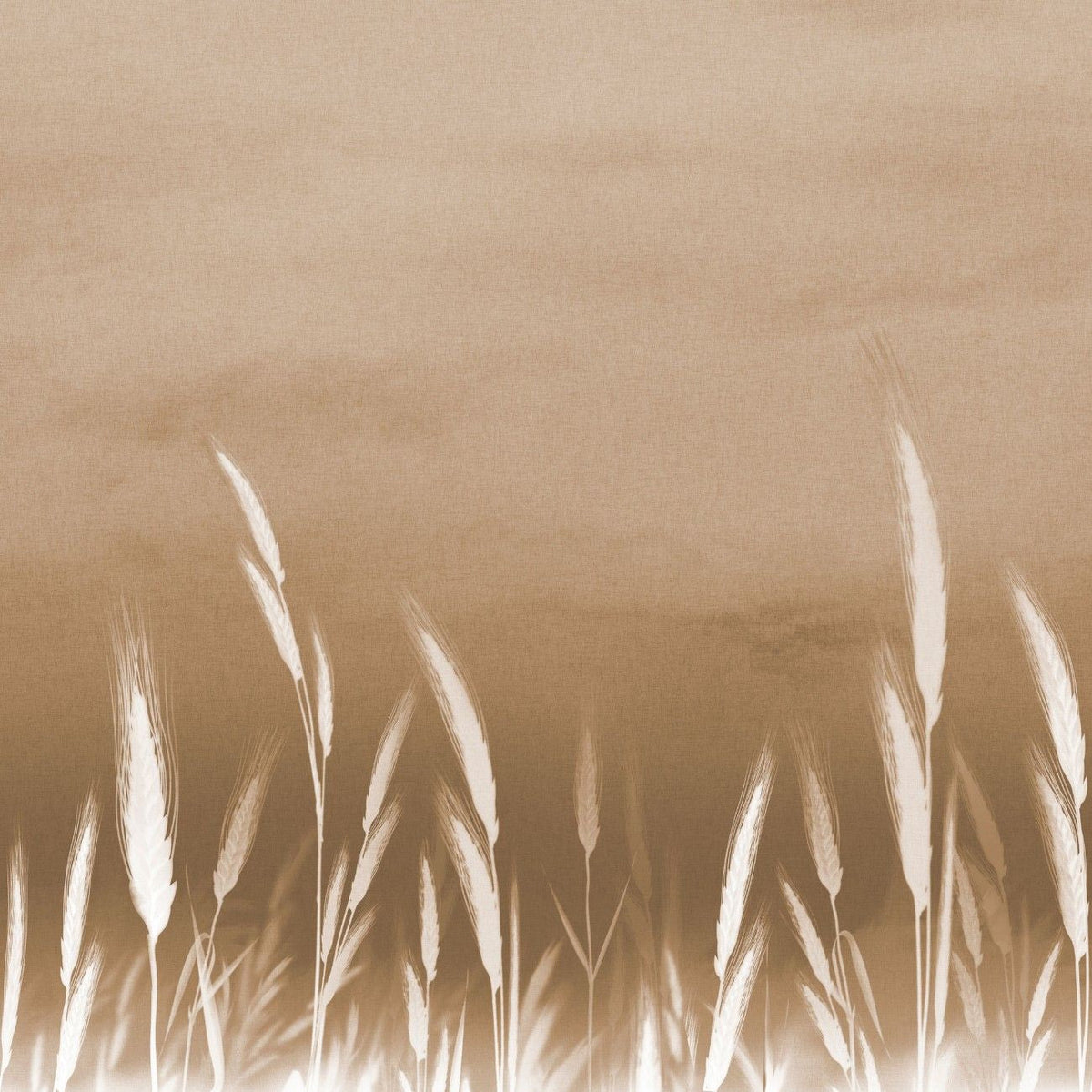 Tapet personalizat leaf cu frunze cu spice albe de grau pe un fundal maro deschis oferind un accent subtil de natura si eleganta wheat accent