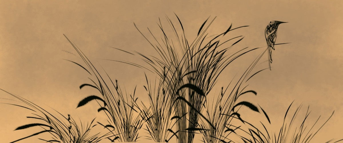 Tapet personalizat leaf cu frunze si pasari stilizate asezate pe fire de trestie pe un fundal de un bej deschis oferind o nota de serenitate si naturalete bird reed light