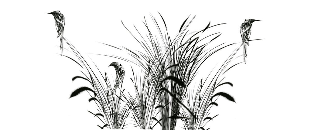 Tapet personalizat leaf cu pasari si trestie in siluete negre pe un fundal alb pur pentru un contrast modern si un aspect artistic bird reed white