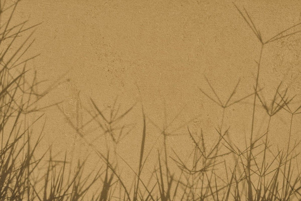 Fototapet personalizat leaf cu umbre de iarba proiectate pe un fundal nisipiu creand un efect vizual interesant si minimalist ideal pentru spatii moderne grass shadows