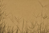 Fototapet personalizat leaf cu umbre de iarba proiectate pe un fundal nisipiu creand un efect vizual interesant si minimalist ideal pentru spatii moderne grass shadows