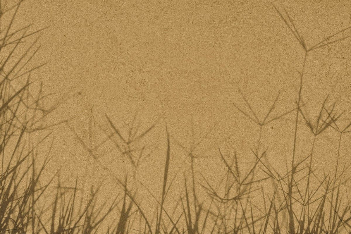 Fototapet personalizat leaf cu umbre de iarba proiectate pe un fundal nisipiu creand un efect vizual interesant si minimalist ideal pentru spatii moderne grass shadows
