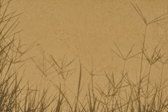 Fototapet personalizat leaf cu umbre de iarba proiectate pe un fundal nisipiu creand un efect vizual interesant si minimalist ideal pentru spatii moderne grass shadows