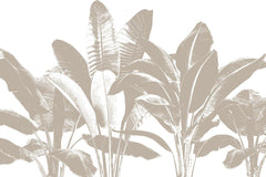 Tapet personalizat leaf cu frunze mari de banane in tonuri de bej pe un fundal alb pentru un design tropical minimalist si luminos beige banana leaves