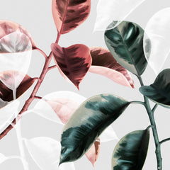 Tapet Personalizat Leaf cu frunze de ficus in nuante de rosu si verde - CONTRAST FICUS