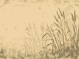 Tapet Personalizat Leaf cu frunze si plante de camp abstracte in nuante de bej si crem 1 - SKETCHY REEDS