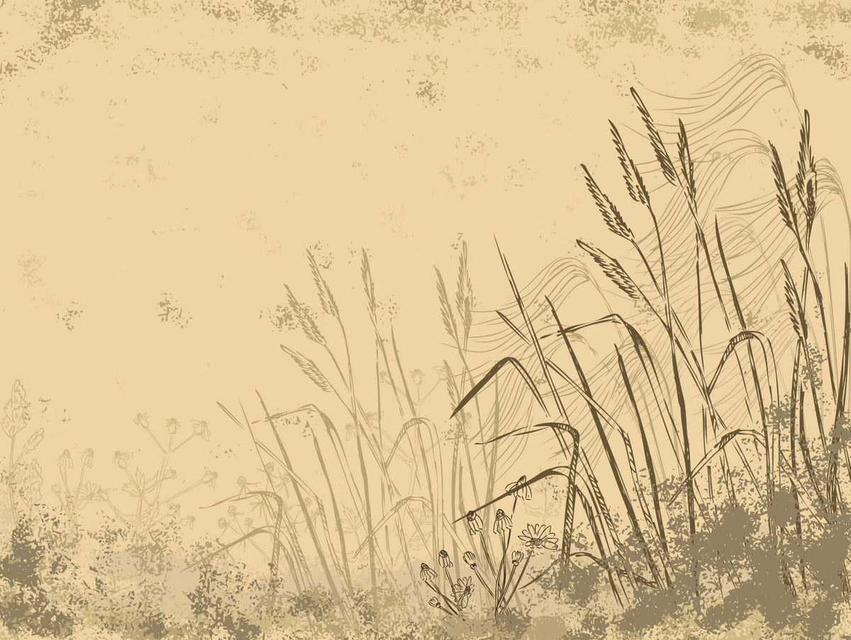 Tapet Personalizat Leaf cu frunze si plante de camp abstracte in nuante de bej si crem 1 - SKETCHY REEDS