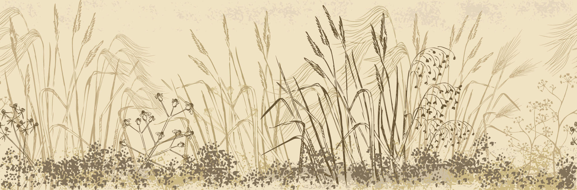 Tapet Personalizat Leaf cu frunze si plante de camp abstracte in nuante de bej si crem 2 - LANDSCAPE REEDS