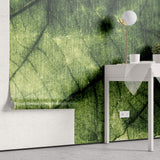 Tapet Personalizat Leaf cu frunza texturata verde cu nervuri - ABSTRACT LEAF