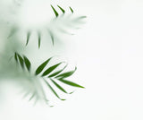 Tapet Personalizat Leaf cu frunze verzi cu fundal estompat - GLASS LEAVES II