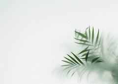 Tapet Personalizat Leaf cu frunze verzi cu fundal estompat in ceata - GLASS LEAVES III