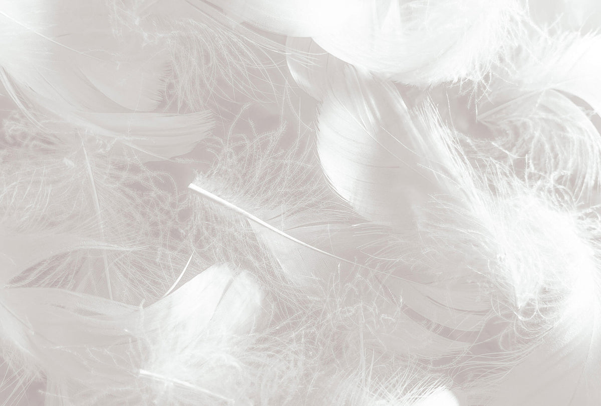 Tapet Personalizat Leaf cu pene in nuante de gri - LIGHT GREY FEATHERS
