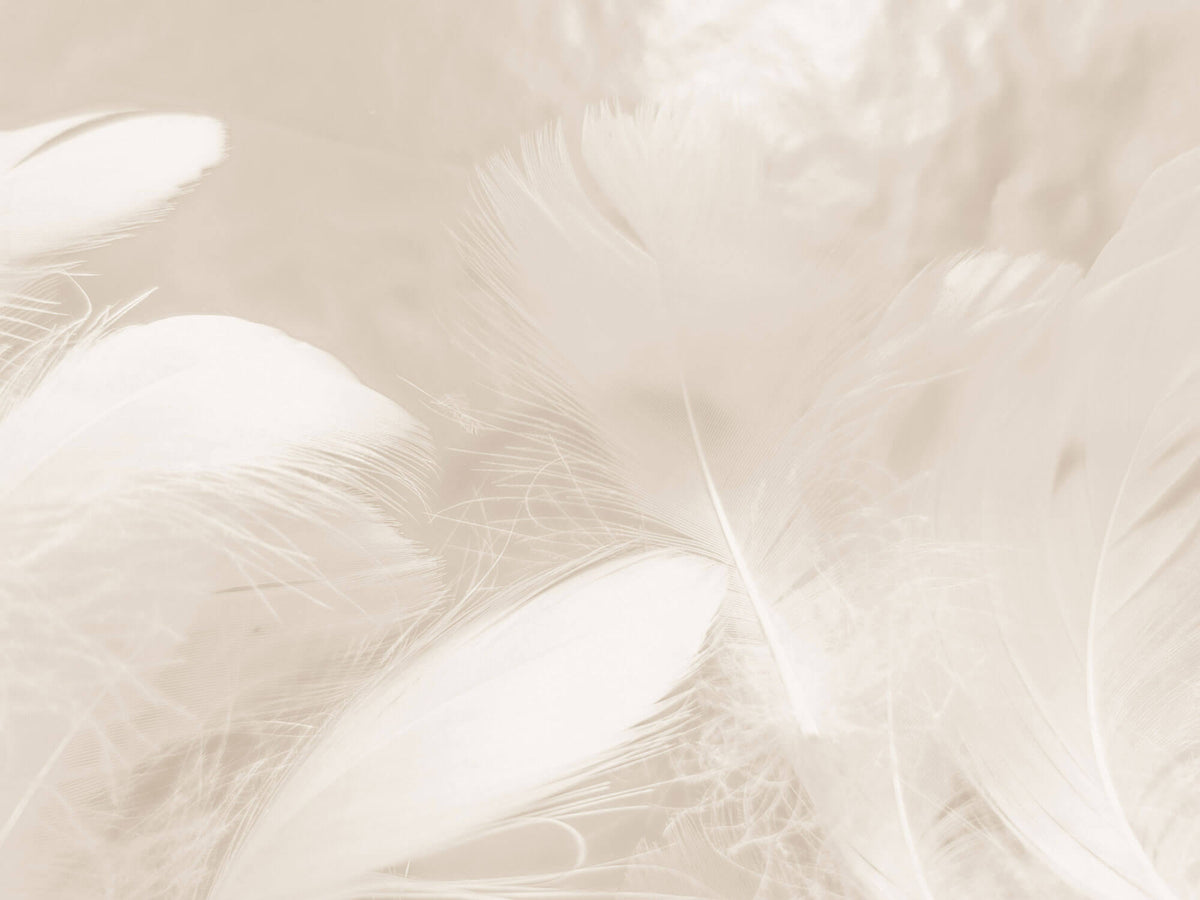 Tapet Personalizat Leaf cu pene in nuante crem si bej - LIGHT BEIGE FEATHERS