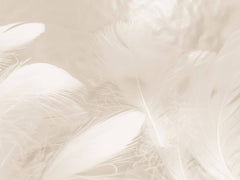 Tapet Personalizat Leaf cu pene in nuante crem si bej - LIGHT BEIGE FEATHERS