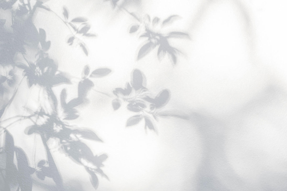 Tapet Personalizat Leaf cu umbre de frunze pe perete alb texturat - LEAFY SILHOUETTE