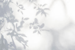Tapet Personalizat Leaf cu umbre de frunze pe perete alb texturat - LEAFY SILHOUETTE