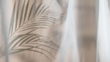 Tapet Personalizat Leaf cu frunza de palmier difuza in fundal rozaliu - SOFT VEIL LEAF I