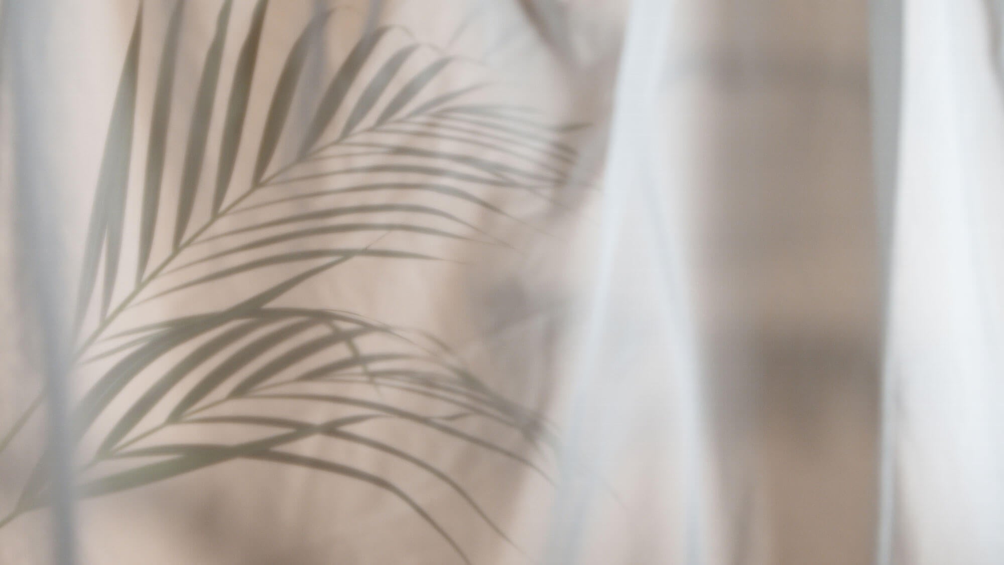 Tapet Personalizat Leaf cu frunza de palmier difuza in fundal rozaliu - SOFT VEIL LEAF I