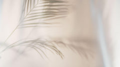 Tapet Personalizat Leaf cu frunza de palmier difuza in fundal rozaliu - SOFT VEIL LEAF II