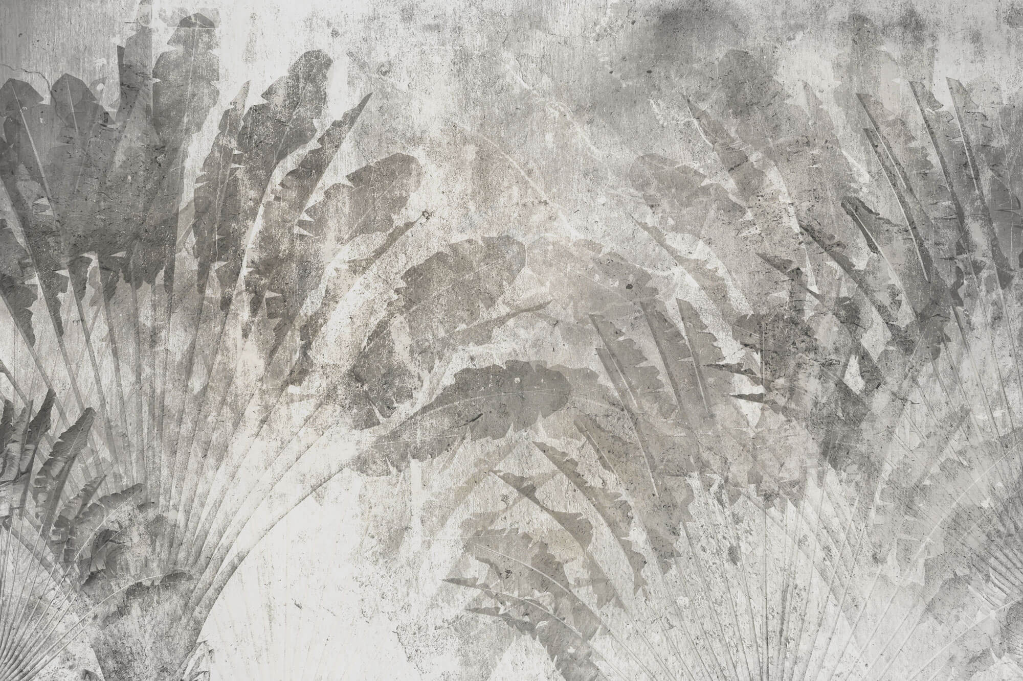 Tapet Personalizat Leaf cu frunze in fundal de perete ciment - CONCRETE ABSTRACT LEAF