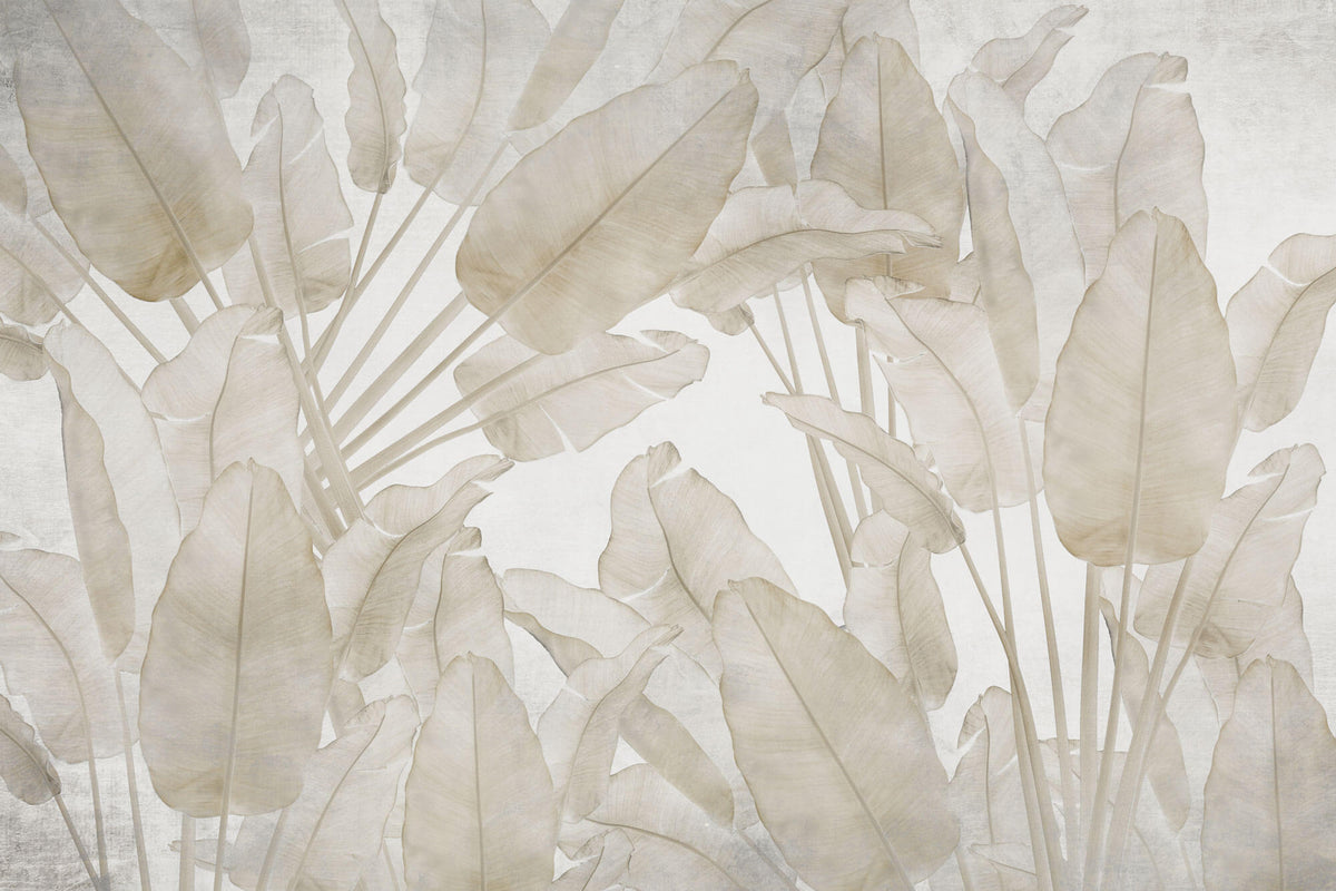 Tapet Personalizat Leaf cu frunze crem de bananier - COFFEE LEAVES