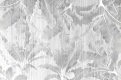 Tapet Personalizat Leaf cu frunze gri in dungi de plaster - STRIPED LEAVES
