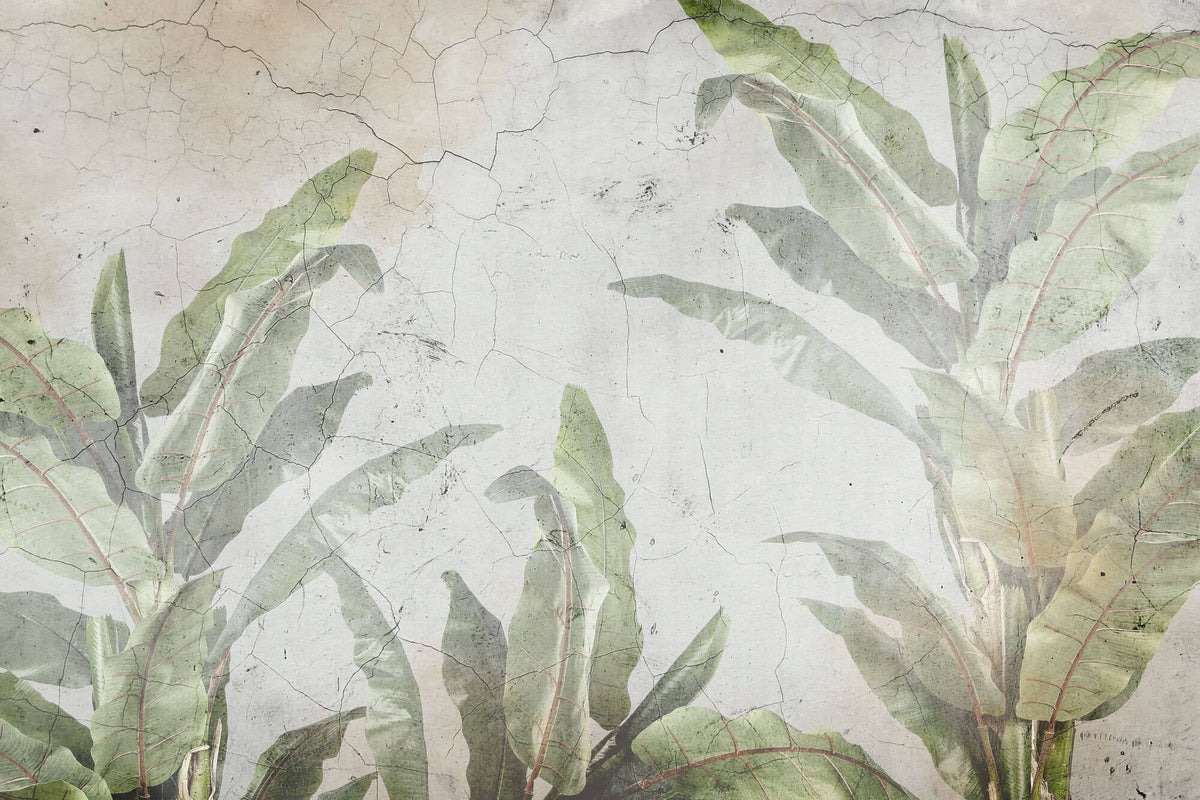 Tapet Personalizat Leaf cu bananieri in fundal stucco vintage - CRACKED WALL LEAVES