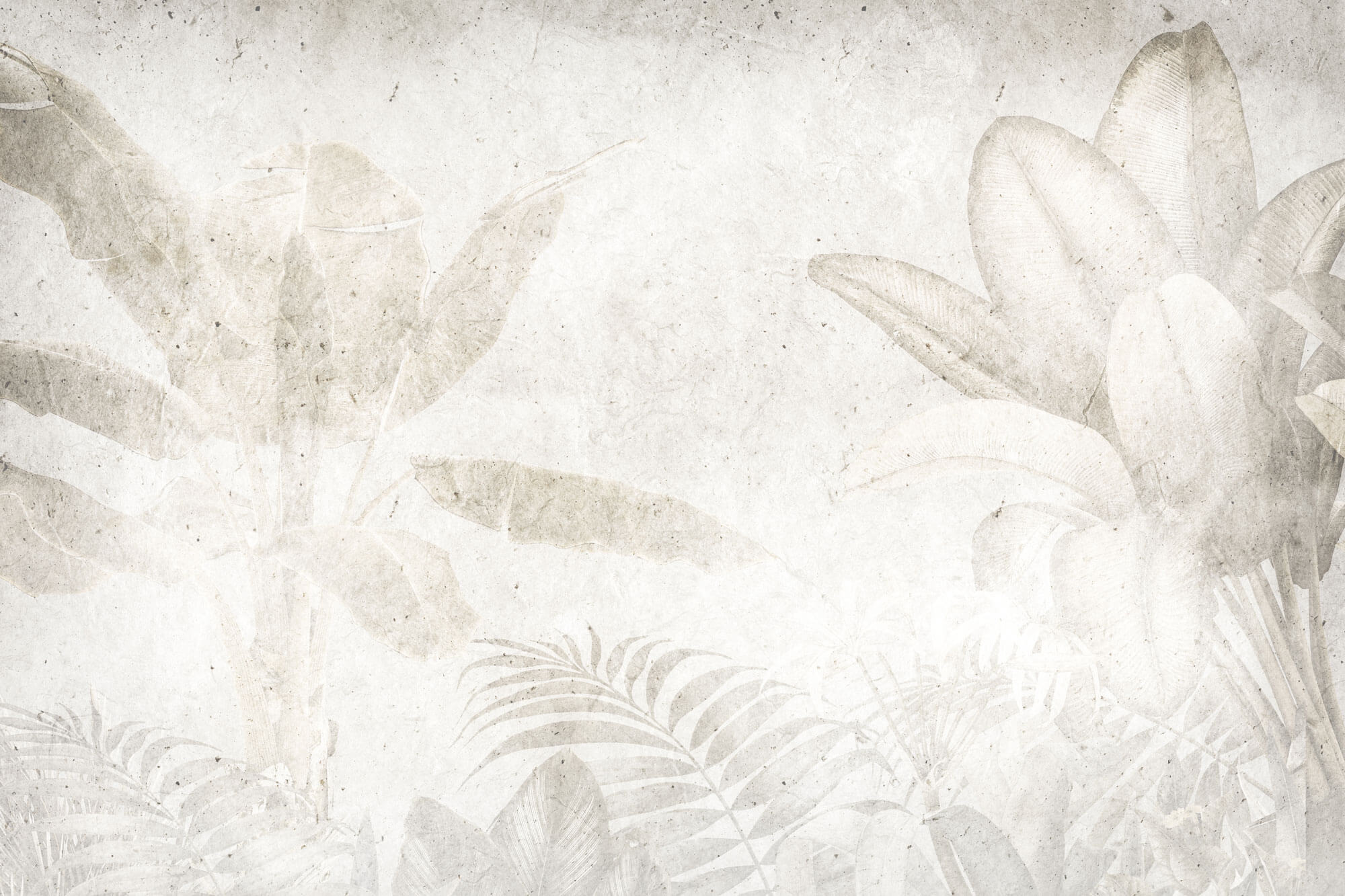 Tapet Personalizat Leaf frunze exotice in nuante deschise cu fundal texturat - LIGHT CONCRETE LEAF