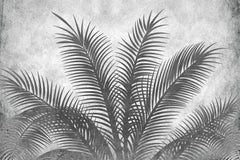 Tapet Personalizat Leaf cu palmieri alb negru texturati - THE GREY PALM