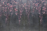 Tapet Personalizat Leaf cu frunze de eucalipt roz intr-un fundal negru de stucco crapat - TINY PURPLE LEAVES