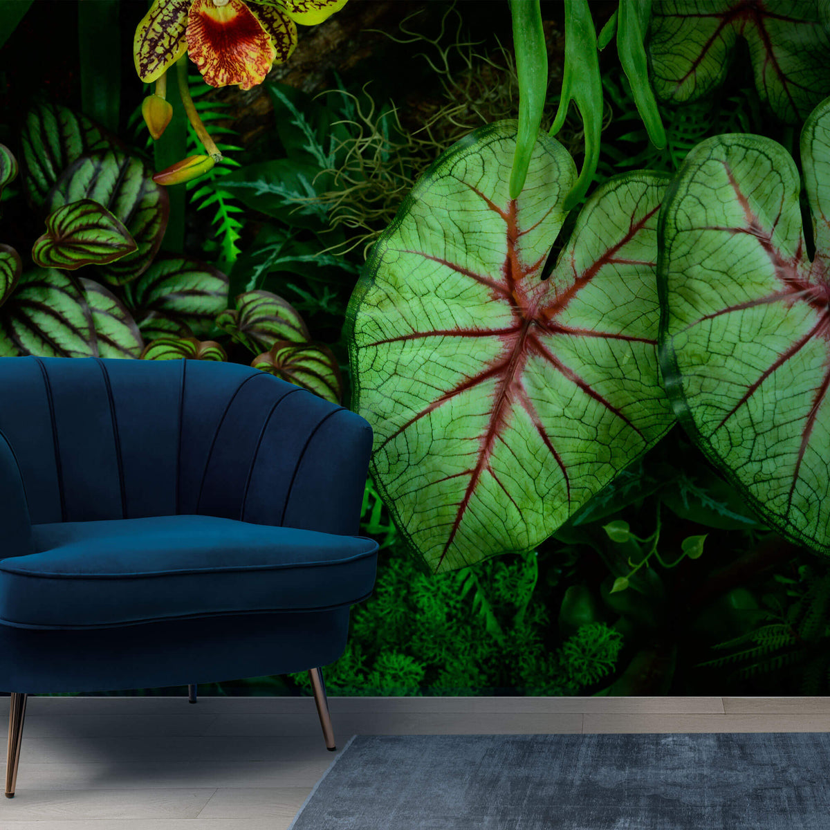 Fototapet Personalizat Leaf cu frunze verzi de caladium intr-un cadru intunecat in natura - EVERGREEN CALADIUM