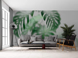 Tapet Personalizat Leaf cu frunze de monstera intr-un fundal opac - FOGGY MONSTERA