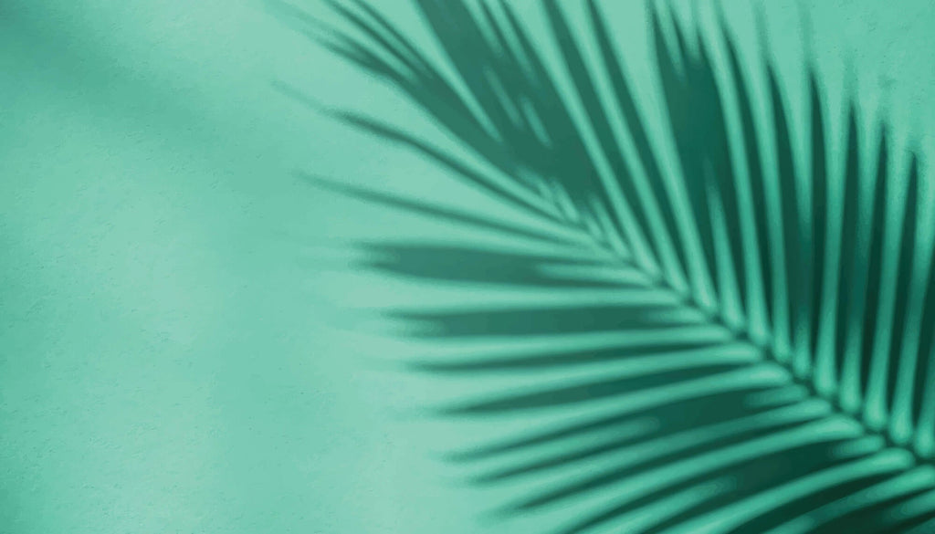 Tapet Personalizat Leaf cu umbra de frunza de palmier pe un fundal verde marin - MINTY PALM