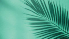 Tapet Personalizat Leaf cu umbra de frunza de palmier pe un fundal verde marin - MINTY PALM